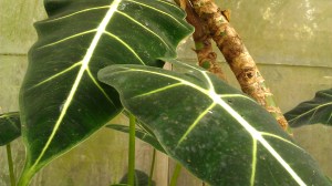 IMAG5331 photo by Tanya Mikulas