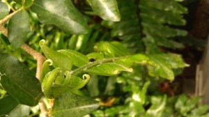 IMAG5339 photo by Tanya Mikulas