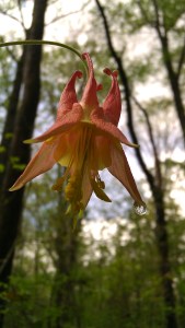 IMAG5361 photo by Tanya Mikulas