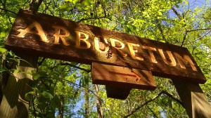 Tanya Mikulas, IMAG5418 The University of Alabama Arboretum, spring 2012