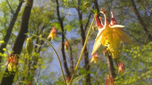 IMAG5452 photo by Tanya Mikulas