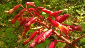 IMAG5458 photo by Tanya Mikulas