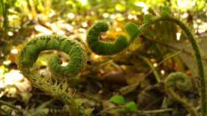 IMAG5475 photo by Tanya Mikulas