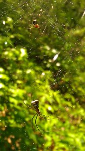 IMAG5521 photo by Tanya Mikulas