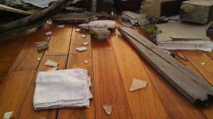 2011 Tuscaloosa tornado debris, Tanya Mikulas