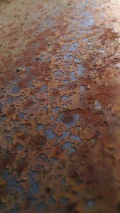 Tanya Mikulas PhD and photographer