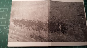 Tanya Mikulas oxidation greeting card open with back 20160406_195527