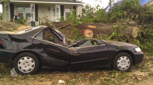 A tree smashed a Honda in front of my house. (Tanya Mikulas, photographer)