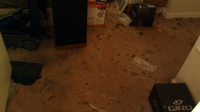 IMAG3237 glass may 9 Tanya Mikulas Tuscaloosa tornado 2011