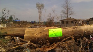 Forest Lake is coming back! Tanya Mikulas, photographer.