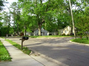 Tanya Mikulas, Forest Lake Drive, Tuscaloosa Alabama, 4/13/2009 before image #4