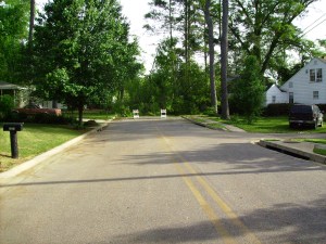 Tanya Mikulas, Forest Lake Drive, Tuscaloosa Alabama, 4/2009 before image #5